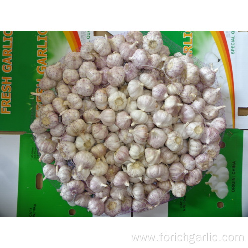 Crop 2019 Fresh Normal White Garlic